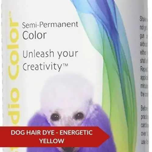 Best Value (Davis Studio Color Dog Hair Dye) - What Can I Use To Color My Dog's Hair?