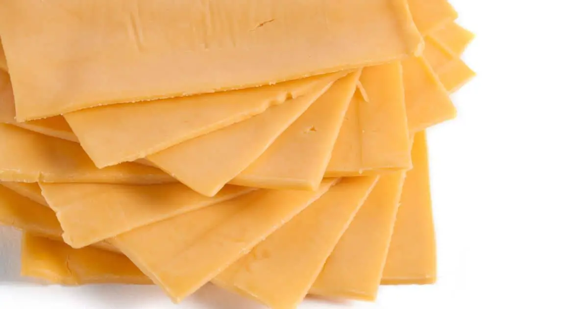 Can Dogs Eat American Cheese as a Treat? Best Guide