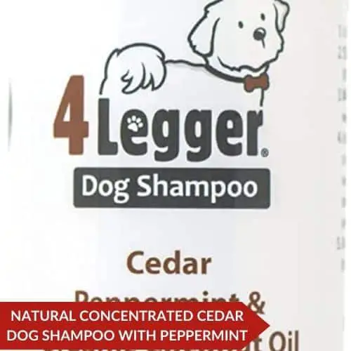 Editor’s Choice (4-Legger USDA Certified Organic Dog Shampoo) - Best Flea Shampoo For Puppies Under 12 Weeks