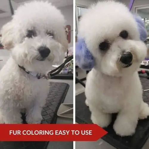 Editor’s Choice (Warren London Temporary Fur Coloring) - What Can I Use To Color My Dog's Hair?