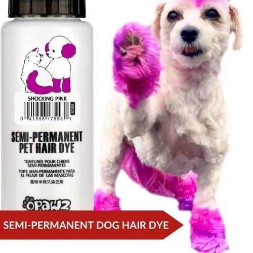 Top Pick (OPAWZ Semi-Permanent) - What Can I Use To Color My Dog's Hair?