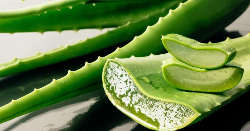 What is Aloe Vera?