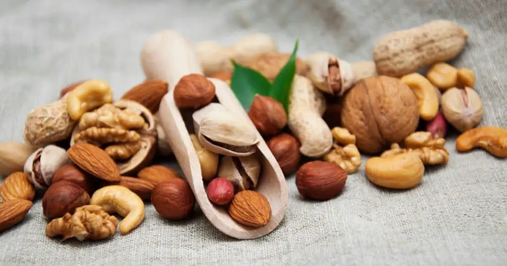 Alternatives to Almonds for Dogs - Can Dogs Eat Almonds