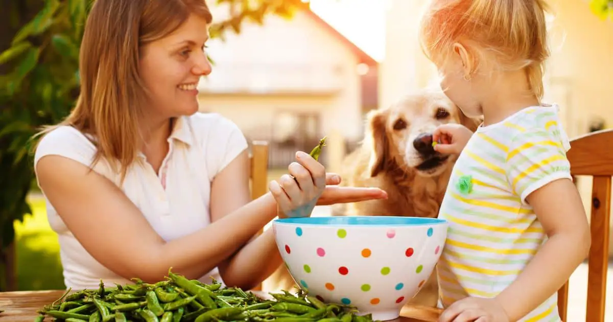 Are Dogs Allergic to Peas? Understanding the Symptoms and Causes