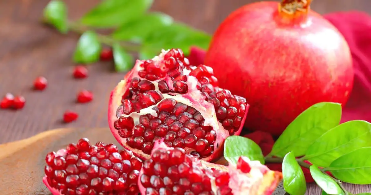 Are Dogs Allergic to Pomegranate? Best Guide
