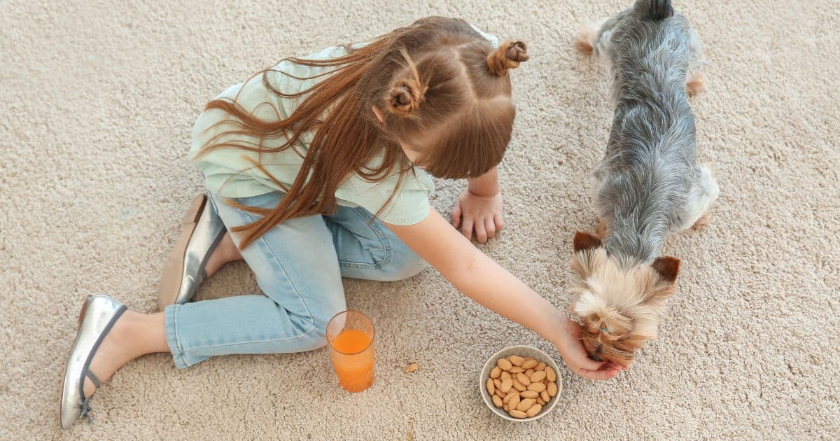 Can Dogs Eat Almonds Best Guide