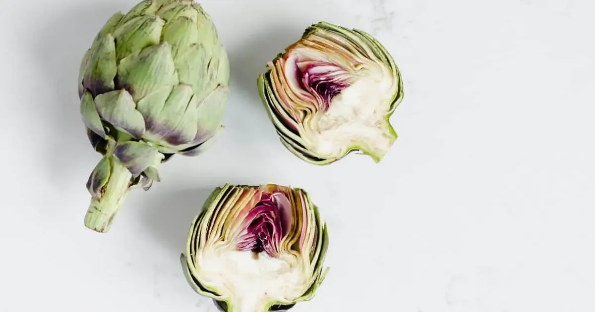 Can Dogs Eat Artichoke Hearts as a Treat
