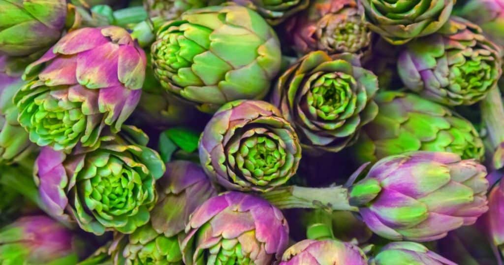 Can Dogs Eat Artichokes?