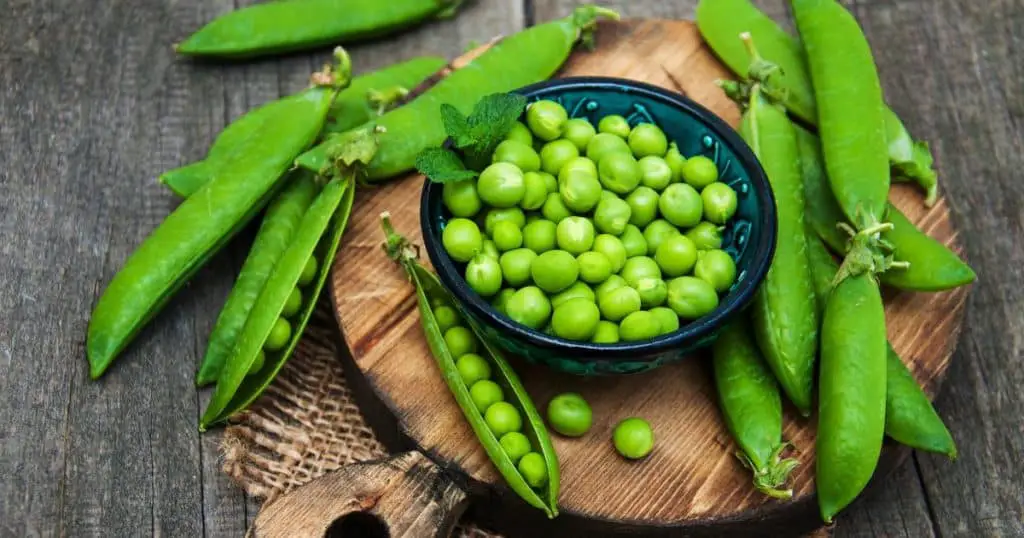 What Are Peas - Are Dogs Allergic to Peas