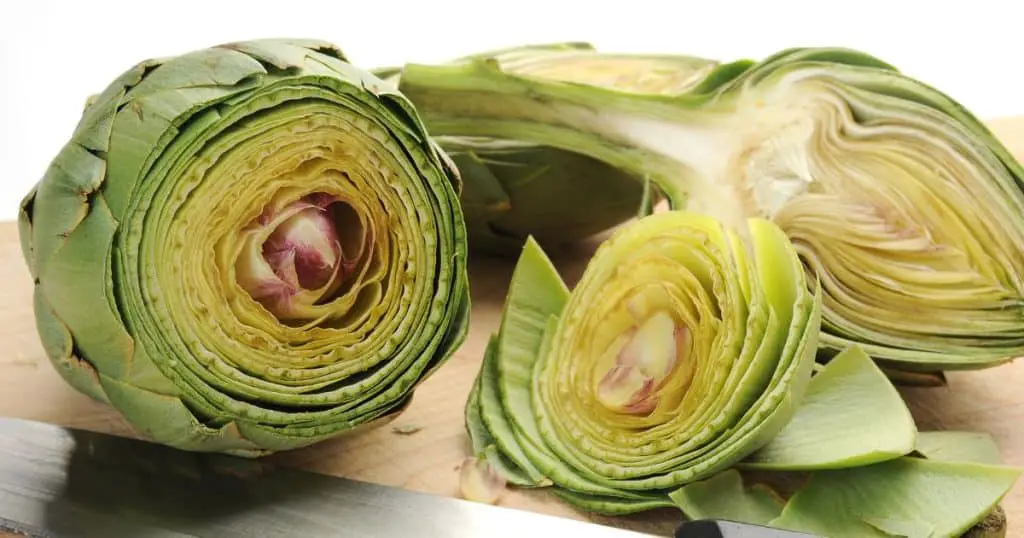 What are Artichokes? - Can Dogs Eat Artichokes