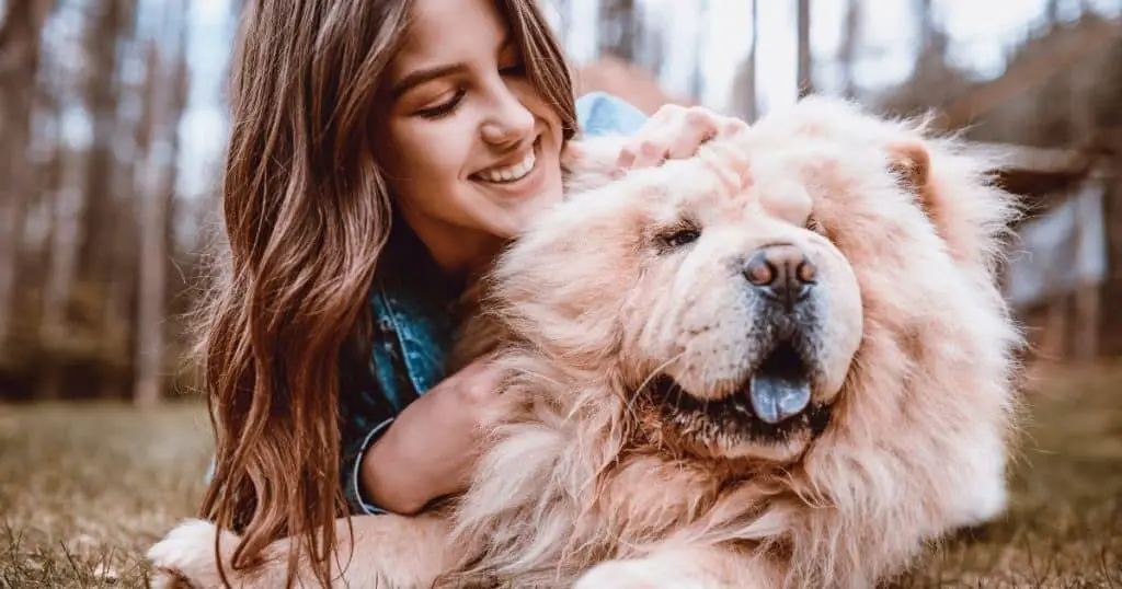 Adopting a Fluffy Dog - Why Fluffy Dogs Make Great Family Pets