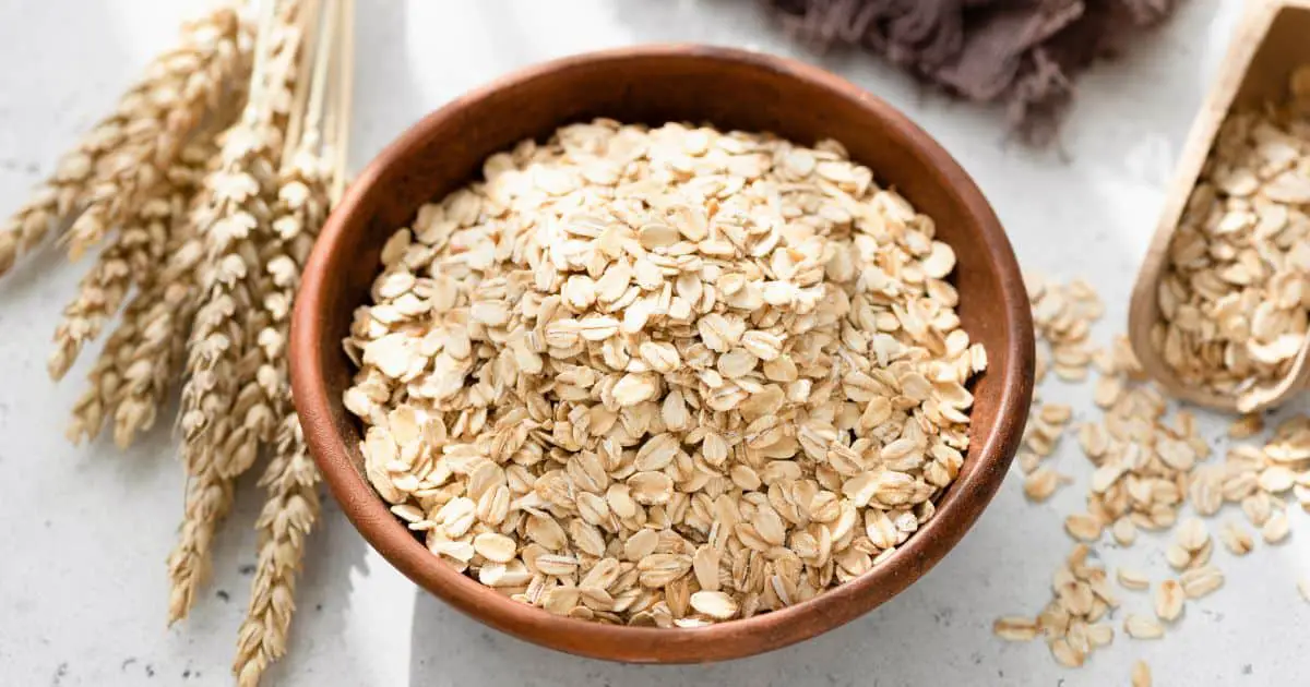 Are Dogs Allergic to Oats? The Truth About Canine Oat Sensitivity