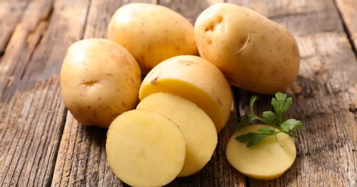 Are Dogs Allergic to Potatoes? What You Need to Know