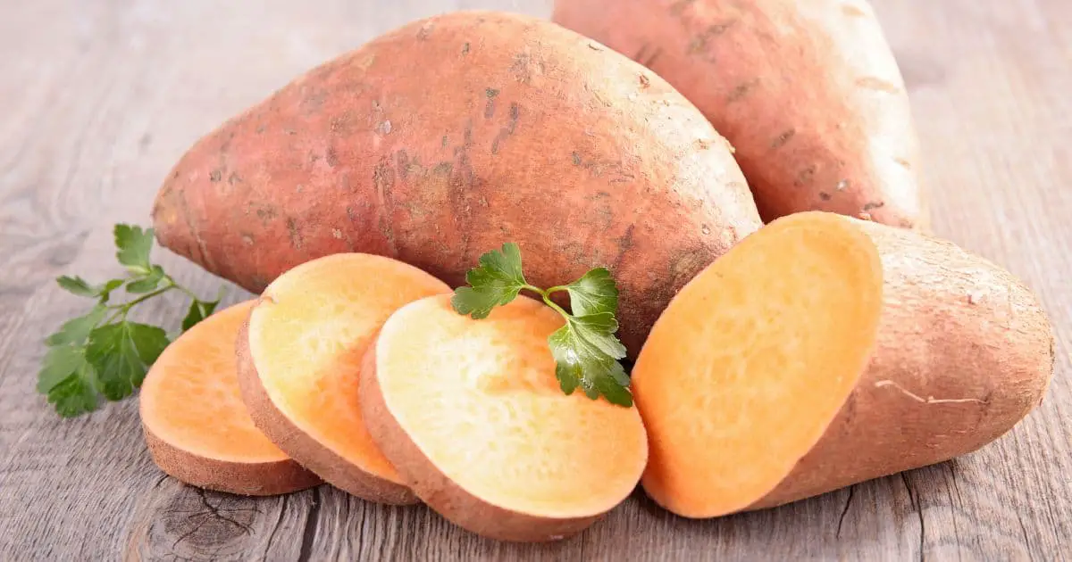 Are Dogs Allergic to Sweet Potatoes? The Truth About This Common Concern