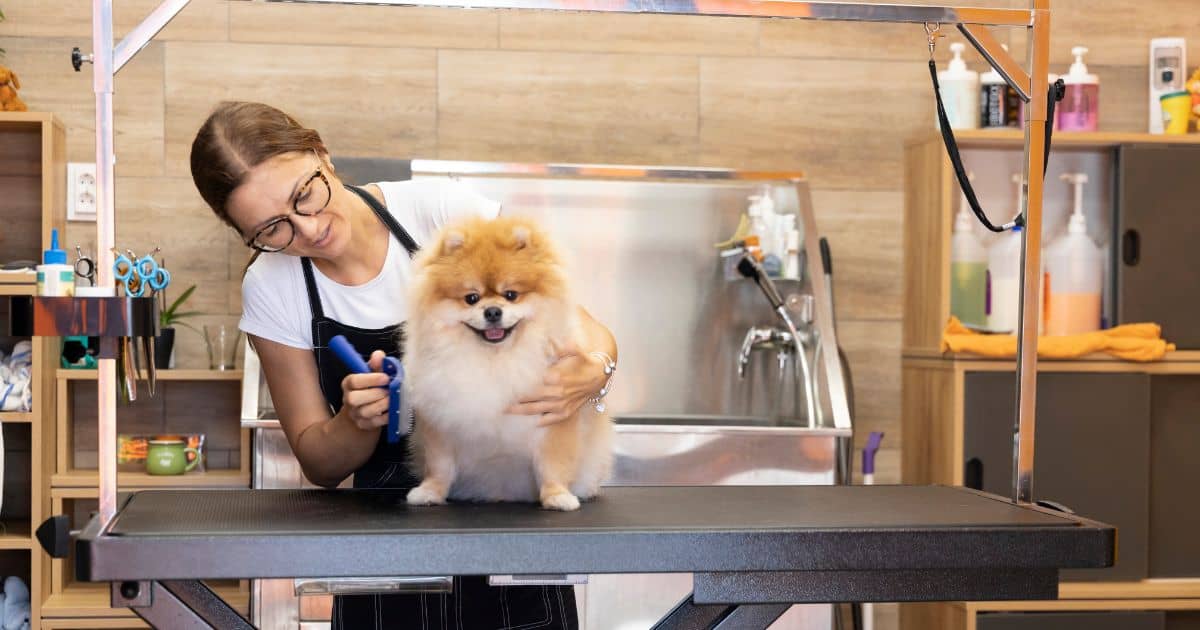 Professional's Pick Best Dog Grooming Arm With Clamp For Perfect