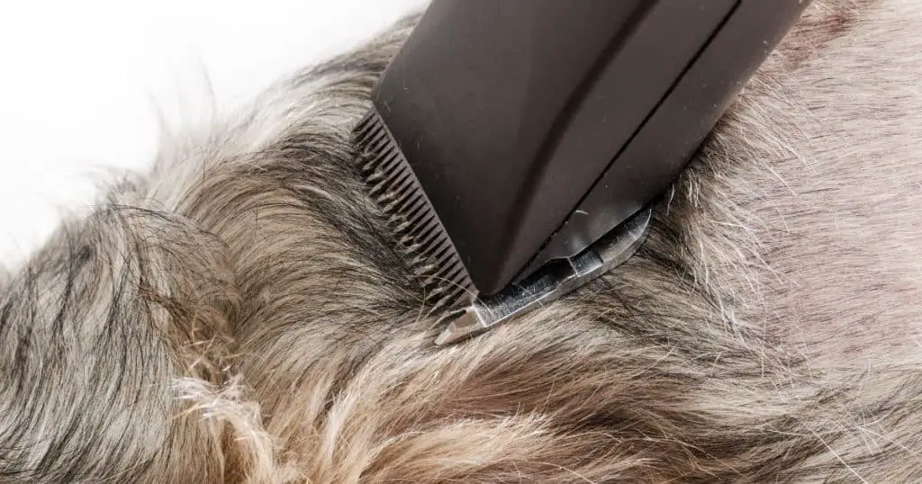 Best Dog Grooming Clippers for Home Use - Best Dog Grooming Clippers for Home Use