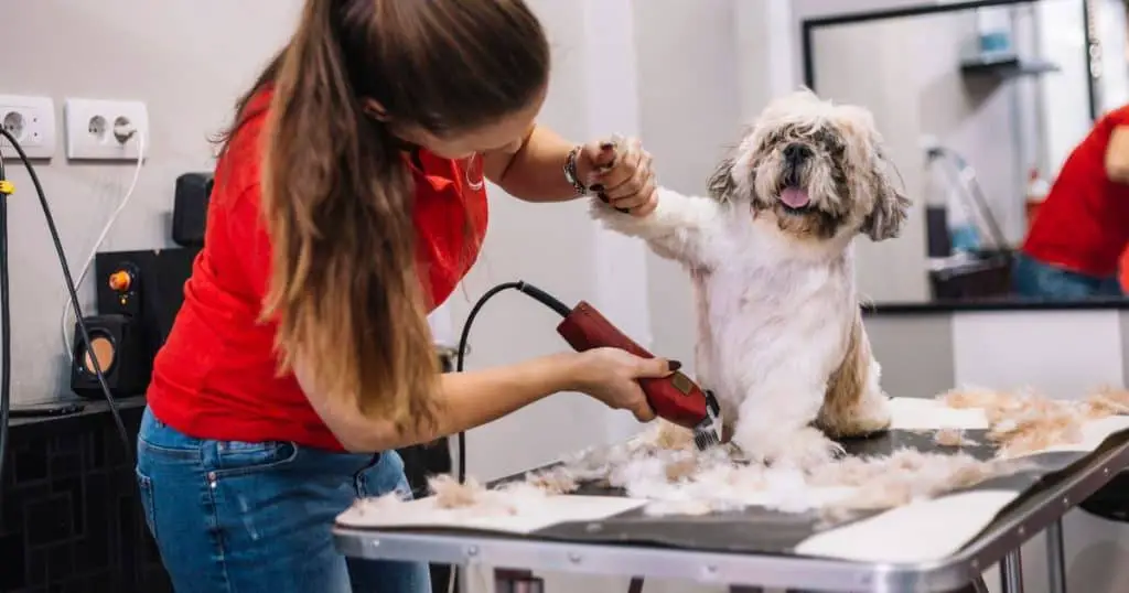 Budget-Friendly Clippers - Best Dog Grooming Clippers for Thick Coats