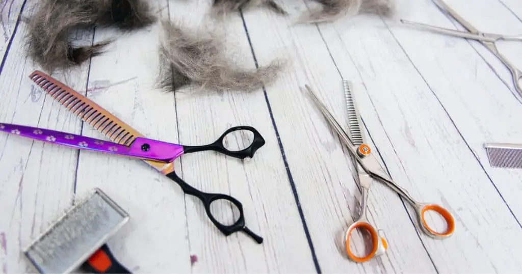 Choosing the Right Scissors - Types of Dog Grooming Scissors
