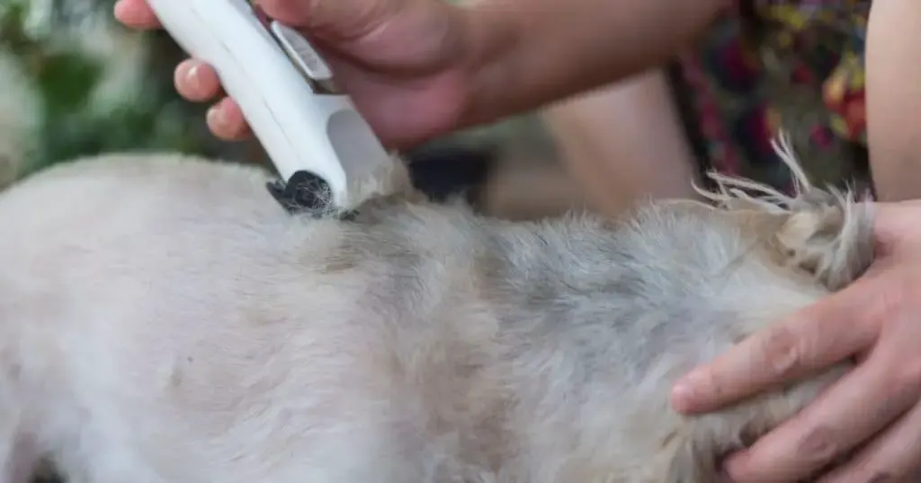Dog Grooming Blade Chart Explained - Hair Length Dog Grooming Blade Chart