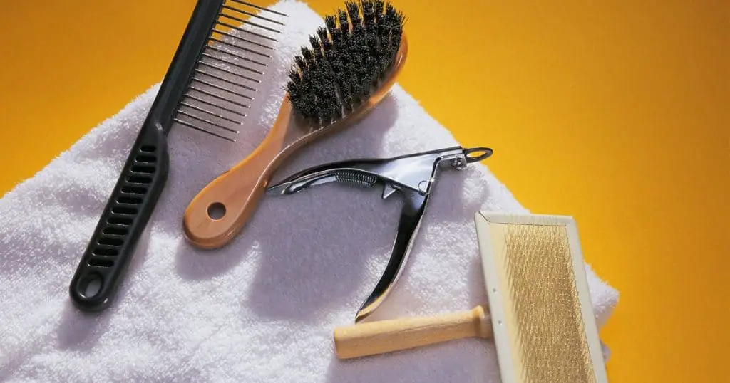 Essential Grooming Tools and Their Uses - Dog Breed Grooming Charts