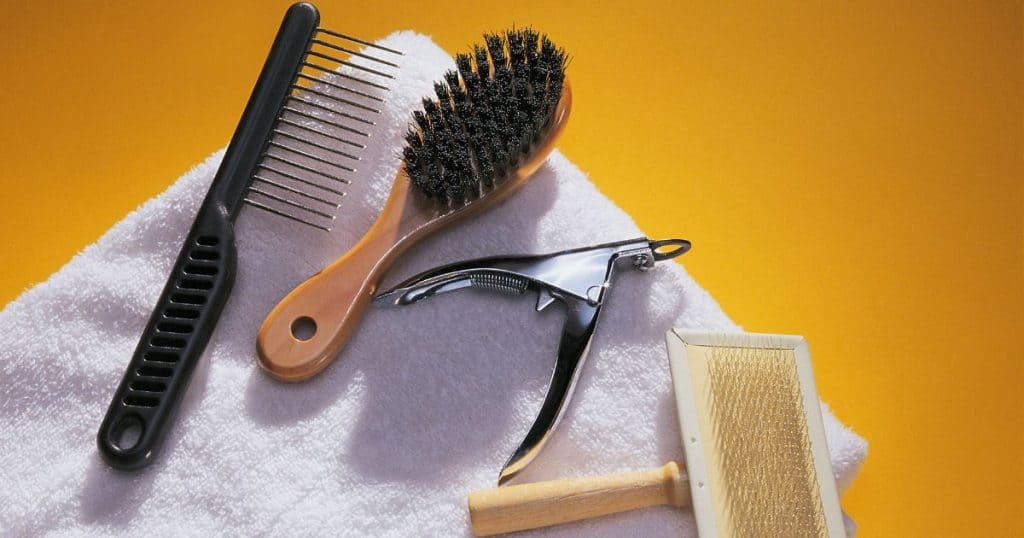 Essential Tools in a Dog Grooming Kit - Best Dog Grooming Kit