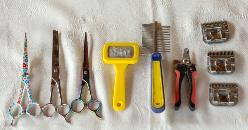 Grooming Tools and Their Effects - Dog Itching After Grooming