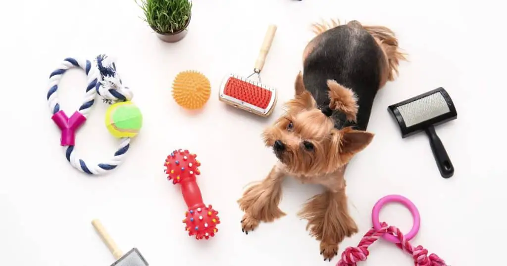 Grooming Treats and Toys - All Breed Dog Grooming