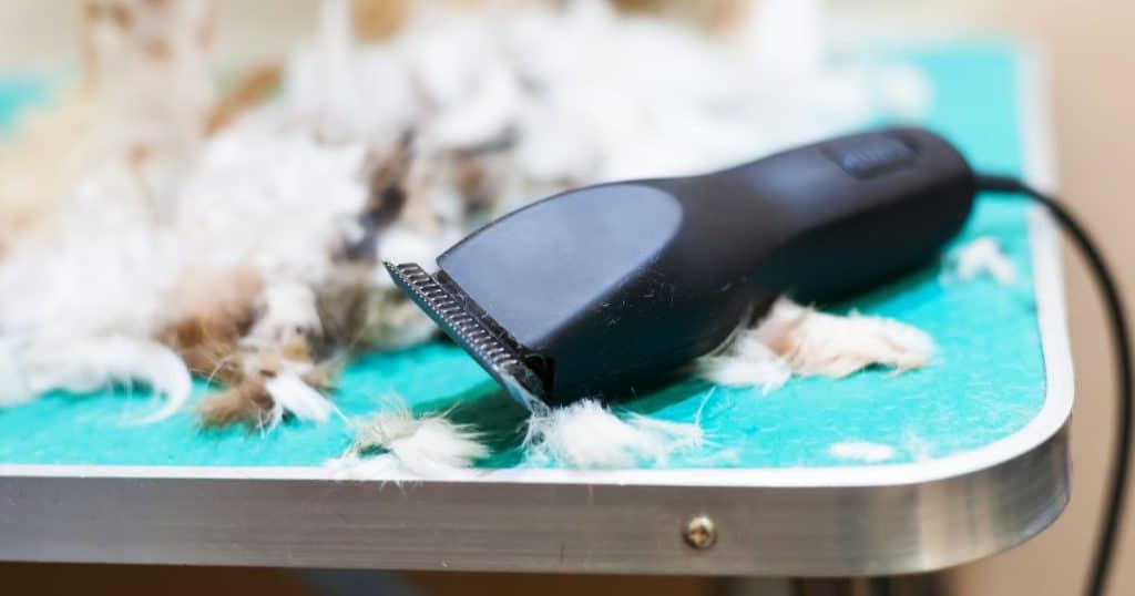 Guide to Popular Blade Brands - Best Dog Grooming Blades