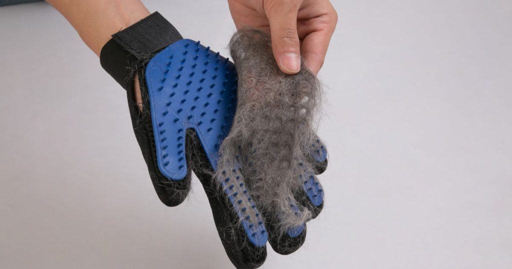 Maintenance of Grooming Gloves - Grooming Glove for Short Hair Dogs