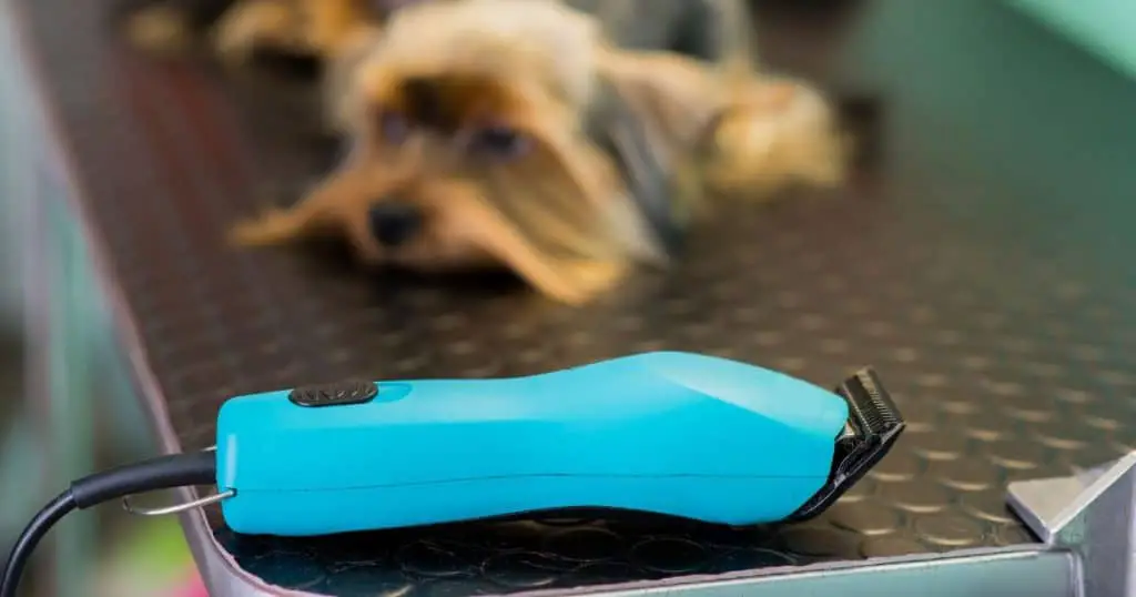 Selecting the Right Blade for Your Pet - Best Dog Grooming Blades