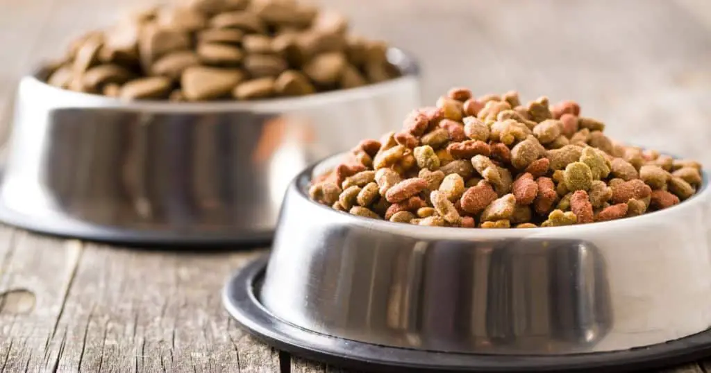 Understanding Dog Food Labels - Health and Nutrition Tips for Fluffy Dogs