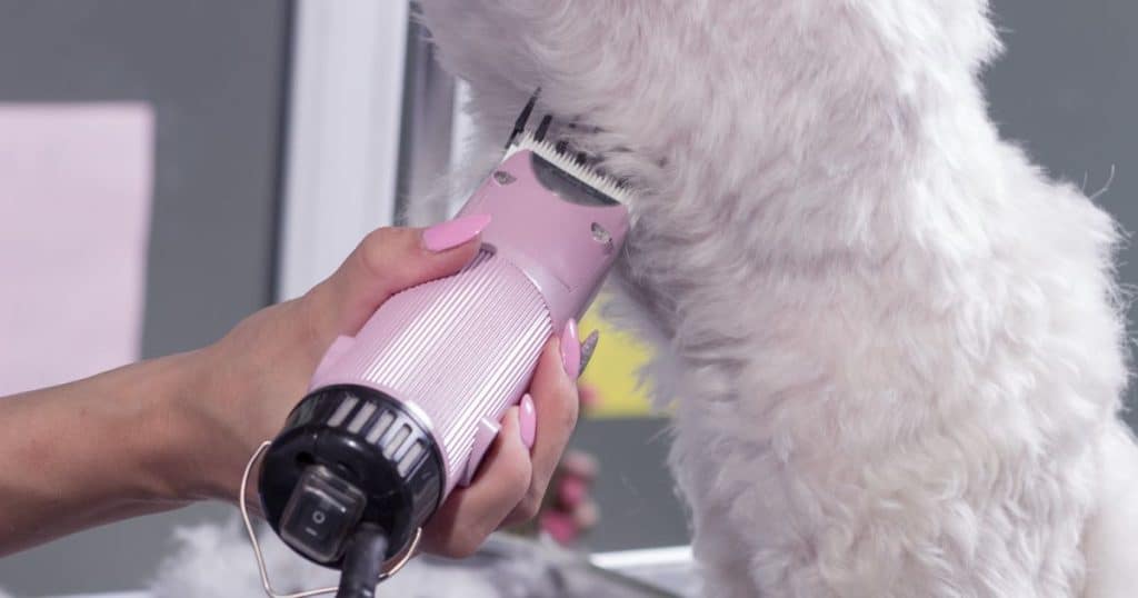 Understanding Dog Grooming - How Long Does Dog Grooming Take