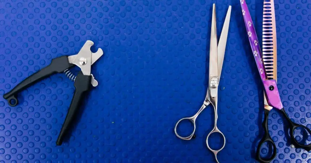 Understanding Dog Grooming Scissors - Types of Dog Grooming Scissors