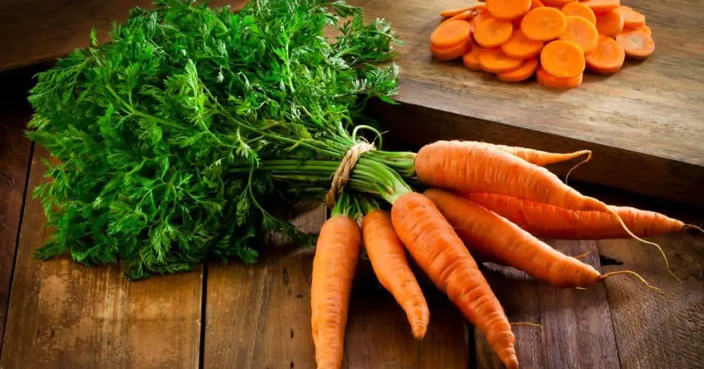 What Are the Benefits of Carrots for Dogs - Are Dogs Allergic to Carrots