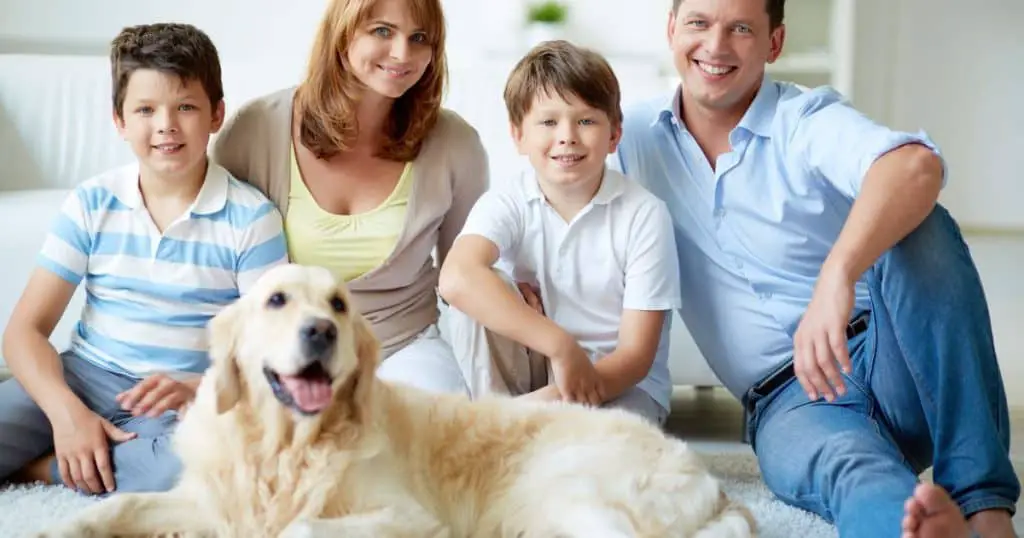 Why Fluffy Dogs Make Great Family Pets