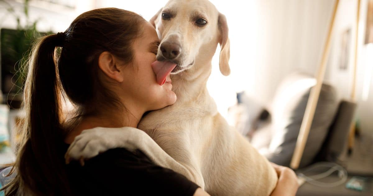 Why My Dog Licks Me! A Comprehensive Guide to Understanding