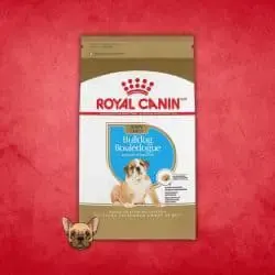 #1 Royal Canin Breed Health Nutrition - What Do Bulldog Puppies Eat