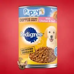 #10 Pedigree Puppy Ground Dinner - What Do Bulldog Puppies Eat