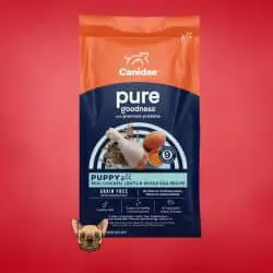 #3 CANIDAE PURE - What Do Bulldog Puppies Eat