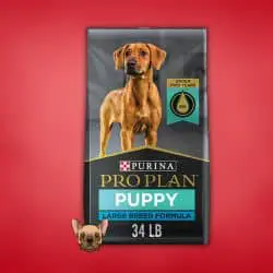 #4 Purina Pro Plan - What Do Bulldog Puppies Eat