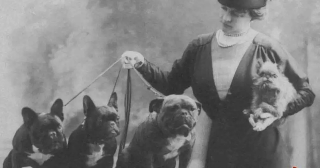 5. The French Bulldog ON & IN Titanic