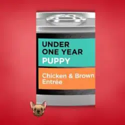 #6 Purina Pro Plan High Protein - What Do Bulldog Puppies Eat