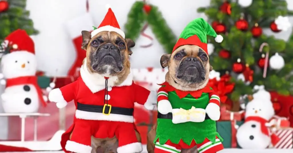 Christmas Unique Bulldog Gifts