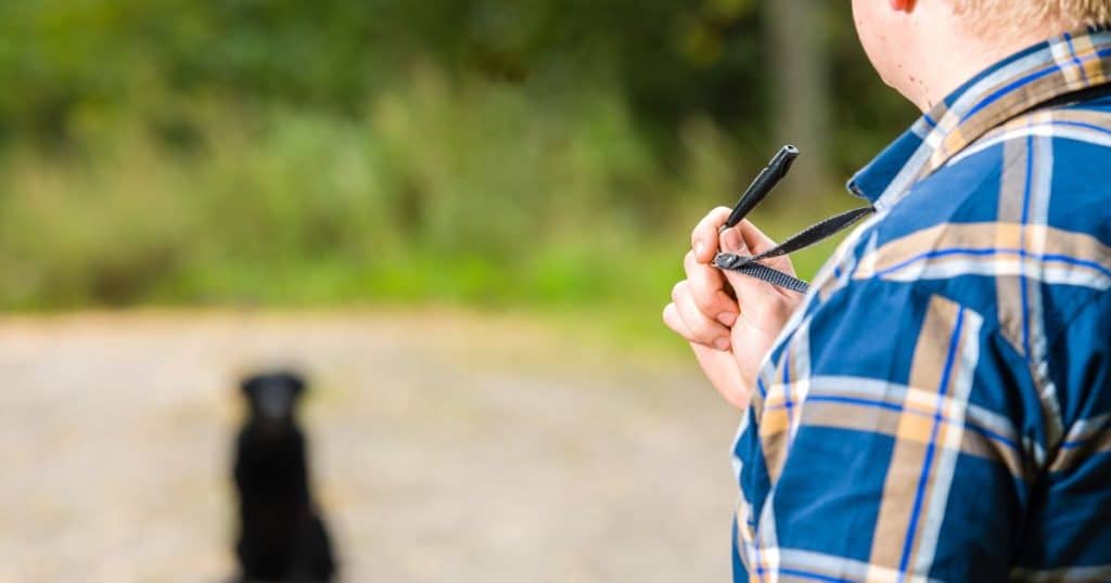 More Details about The Training Whistle - Dog Training Whistle