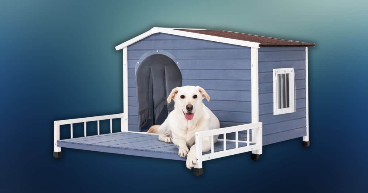 Petsfit Dog House Review Best Choice for Large Dogs - Is It Worth It