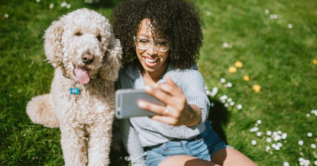 Poodle Dog with Children and Other Pets