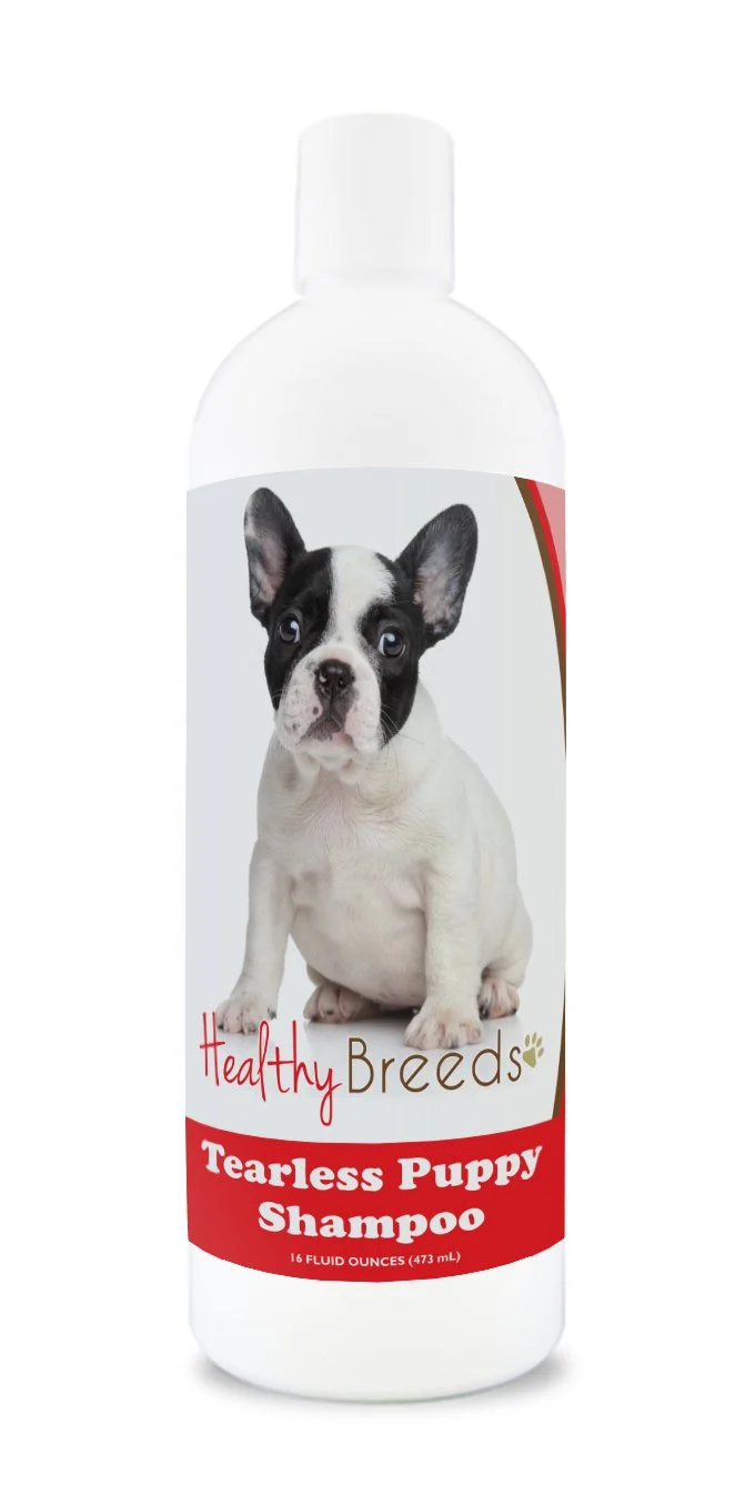 Best Shampoo for a Fluffy Frenchie: What to Look For 2 — Dog Fluffy