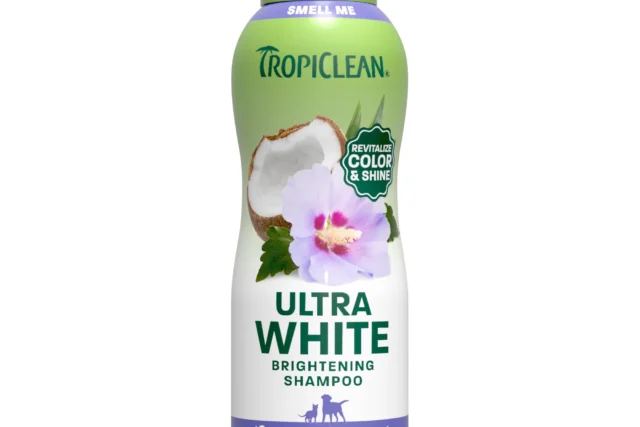 Best Shampoo for a White Coat: Frenchie Picks