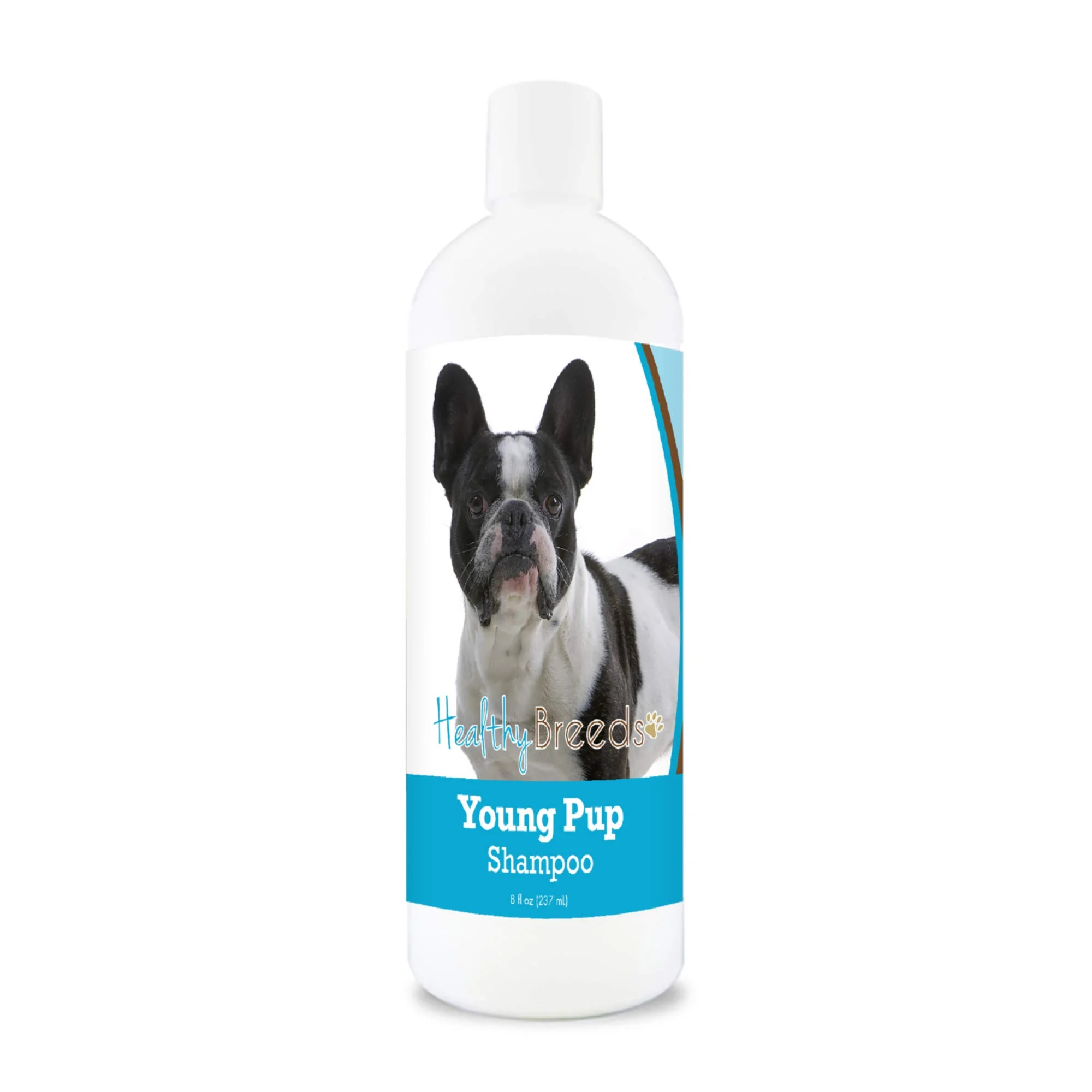 Best Shampoo for a Fluffy Frenchie: What to Look For 4 — Dog Fluffy