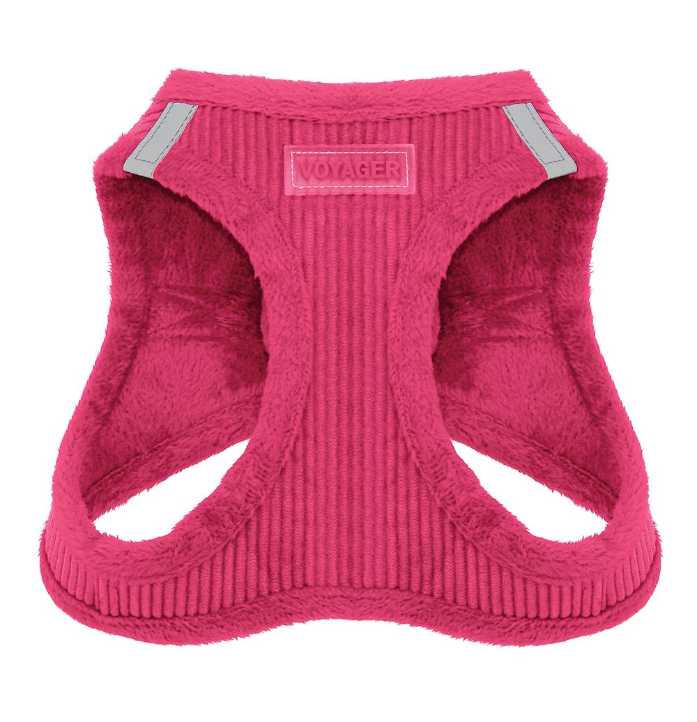 Walking Gear for a Fluffy Frenchie: Harnesses, Leads and Coats 3 — Dog Fluffy